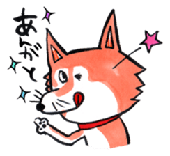 Shiba inu Momo and black cat Jiro. sticker #2243792