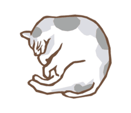 Cat sleeps sticker #2244706