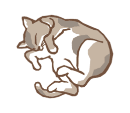 Cat sleeps sticker #2244708