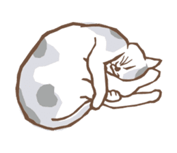 Cat sleeps sticker #2244711