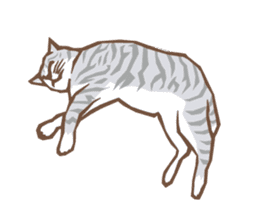 Cat sleeps sticker #2244715