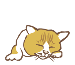 Cat sleeps sticker #2244732