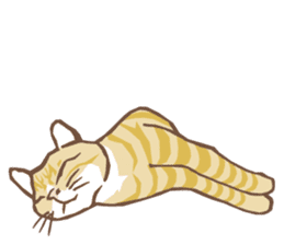 Cat sleeps sticker #2244734