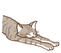Cat sleeps sticker #2244738