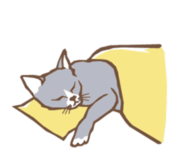 Cat sleeps sticker #2244742