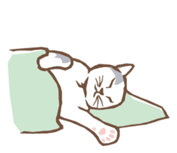 Cat sleeps sticker #2244743