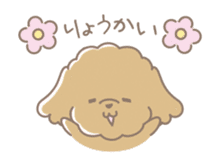 Cute Toy Poodle Cocoan sticker #2245225