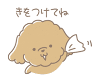 Cute Toy Poodle Cocoan sticker #2245226