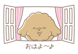 Cute Toy Poodle Cocoan sticker #2245232