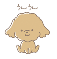 Cute Toy Poodle Cocoan sticker #2245233