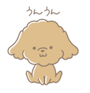 Cute Toy Poodle Cocoan sticker #2245233