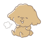 Cute Toy Poodle Cocoan sticker #2245238