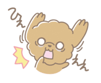 Cute Toy Poodle Cocoan sticker #2245241