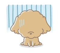 Cute Toy Poodle Cocoan sticker #2245242