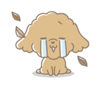 Cute Toy Poodle Cocoan sticker #2245244