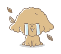Cute Toy Poodle Cocoan sticker #2245244