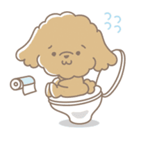 Cute Toy Poodle Cocoan sticker #2245247