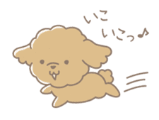 Cute Toy Poodle Cocoan sticker #2245249
