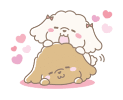 Cute Toy Poodle Cocoan sticker #2245251