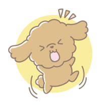Cute Toy Poodle Cocoan sticker #2245252