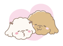 Cute Toy Poodle Cocoan sticker #2245263