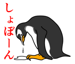 Gentoo Penguin Sticker sticker #2246601
