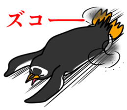 Gentoo Penguin Sticker sticker #2246605