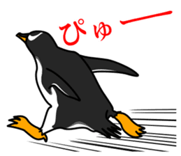 Gentoo Penguin Sticker sticker #2246619