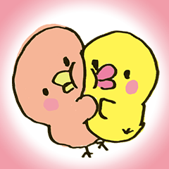 A Cute and Funny Chick