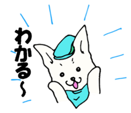 B dog sticker #2253155