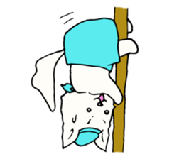 B dog sticker #2253161