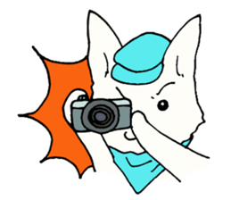 B dog sticker #2253173