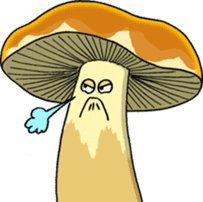 Daily Mushrooms 1 sticker #2256546