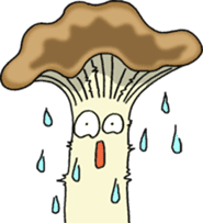 Daily Mushrooms 1 sticker #2256560