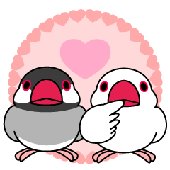 Java sparrow "Bun-cho"