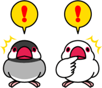 Java sparrow "Bun-cho" sticker #2258376