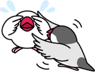 Java sparrow "Bun-cho" sticker #2258378