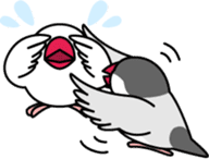 Java sparrow "Bun-cho" sticker #2258378