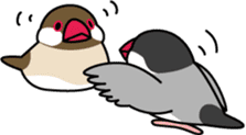 Java sparrow "Bun-cho" sticker #2258379