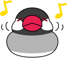 Java sparrow "Bun-cho" sticker #2258386