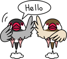 Java sparrow "Bun-cho" sticker #2258388