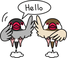 Java sparrow "Bun-cho" sticker #2258388
