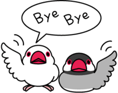 Java sparrow "Bun-cho" sticker #2258389