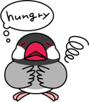 Java sparrow "Bun-cho" sticker #2258393