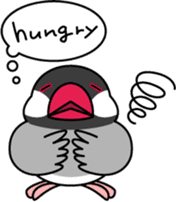 Java sparrow "Bun-cho" sticker #2258393