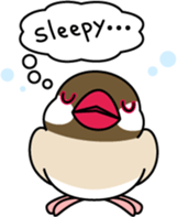 Java sparrow "Bun-cho" sticker #2258394