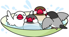 Java sparrow "Bun-cho" sticker #2258396