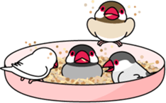 Java sparrow "Bun-cho" sticker #2258397