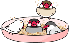 Java sparrow "Bun-cho" sticker #2258397