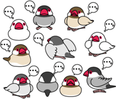 Java sparrow "Bun-cho" sticker #2258398